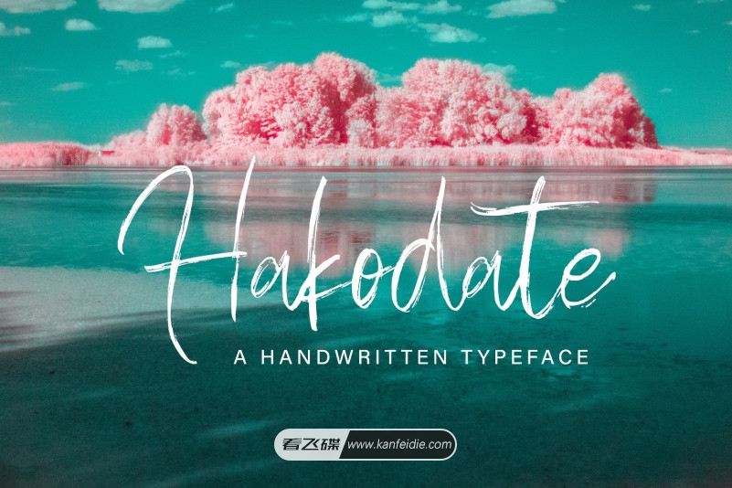 Hakodate 水彩干画笔风格的休闲手写英文书法字体下载