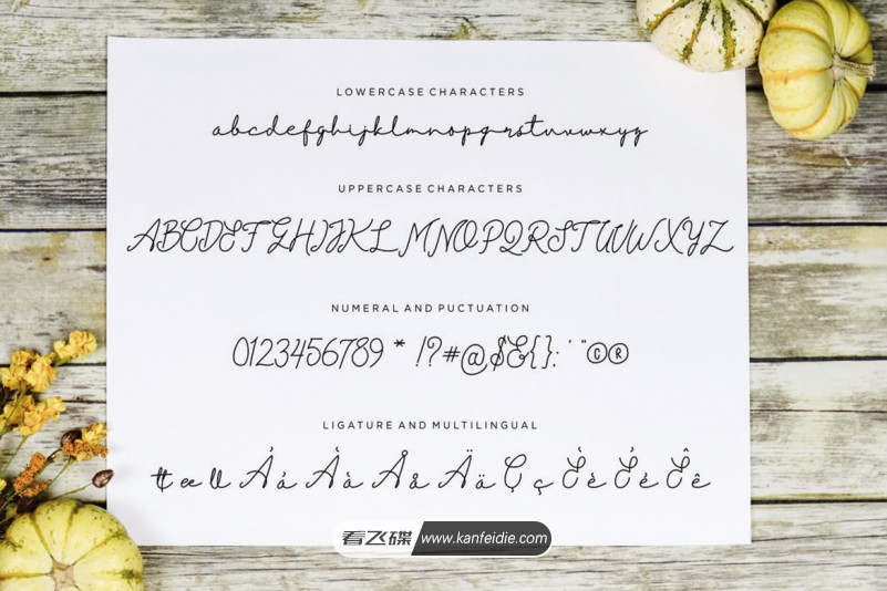 优美纤细线条的连笔手写英文签名字体下载 Einstaint font