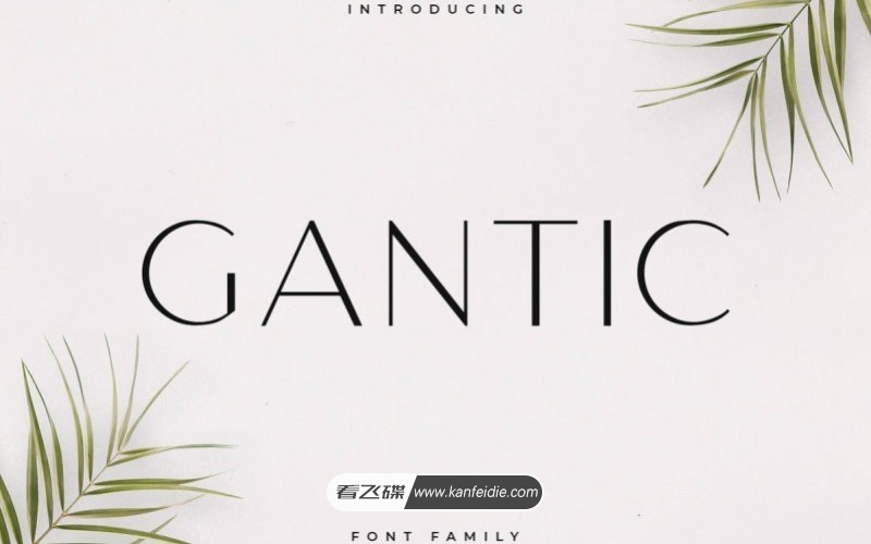 Gantic 极简纤细的无衬线英文字体
