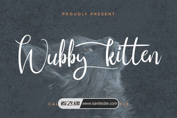 漂亮优雅的英文花体字 Wubby Kitten