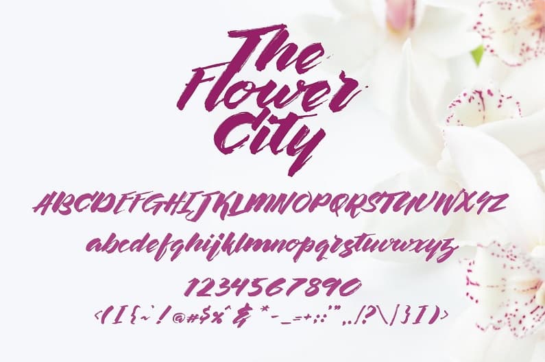 The Flower City大气英文毛笔书法字体
