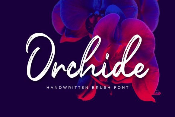 Orchide粗糙毛笔手写英文艺术字体