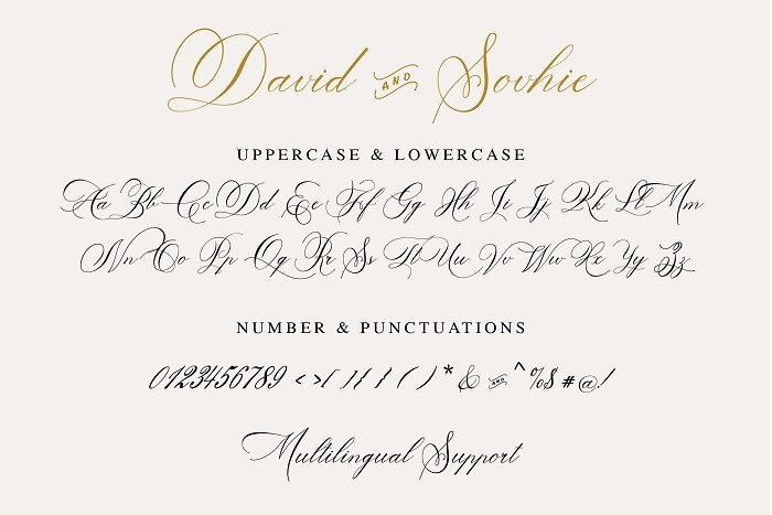 David And Sovhie贺卡礼物包装设计常用的手写花体英文字体下载