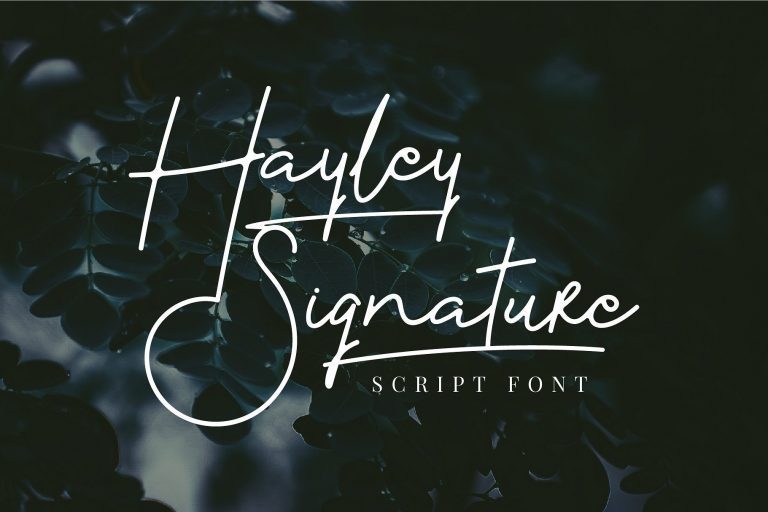Hayley漂亮纤细的word艺术连笔手写签名字体下载