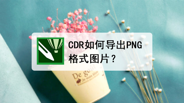 cdr保存图片为透明png格式的详细步骤