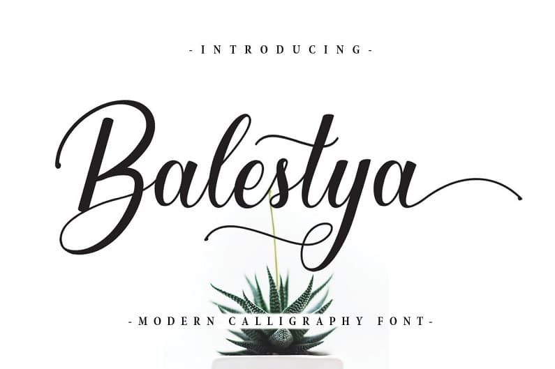 Balestya粗细过渡的优美花体手写艺术英文字体下载