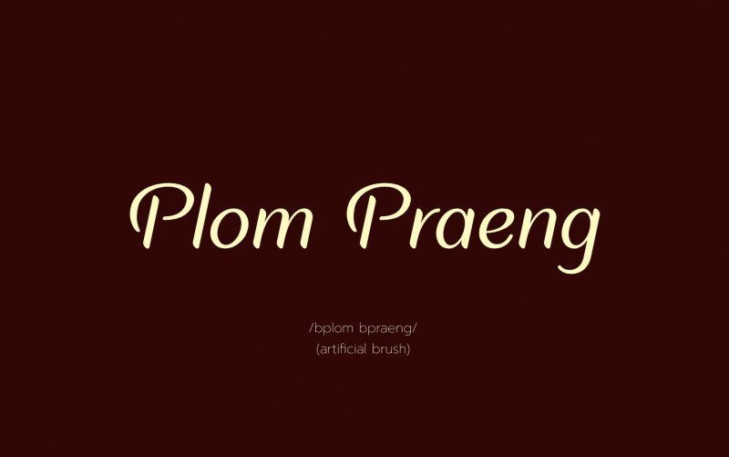 Plom Praeng设计PPT标题LOGO艺术高级感手写英文字体下载