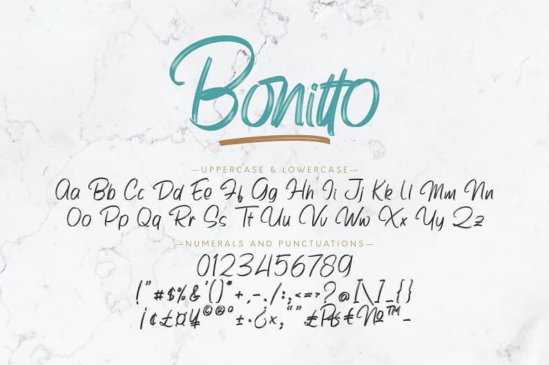 Bonitto海报PPT标题大气飘逸手写笔刷书法英文字体