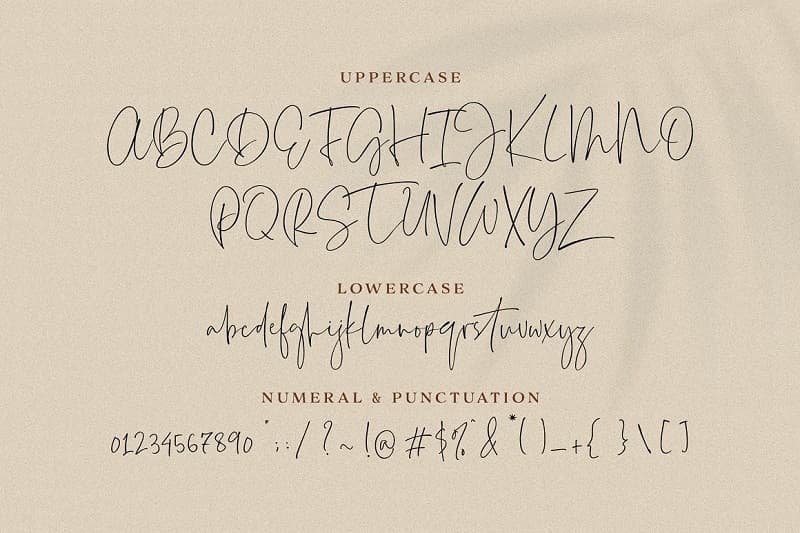Everleigh美观时尚书法尖笔头手写签名英文字体