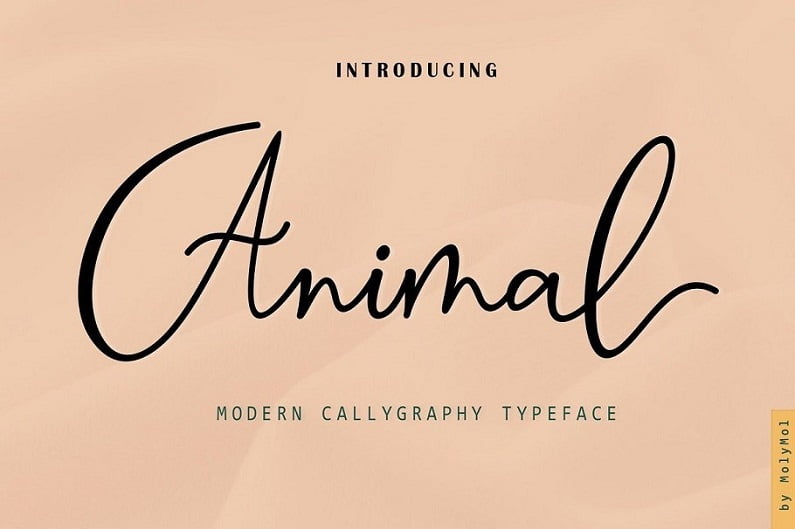 Animal特色签名ins现代书法画笔连写英文手写字体下载