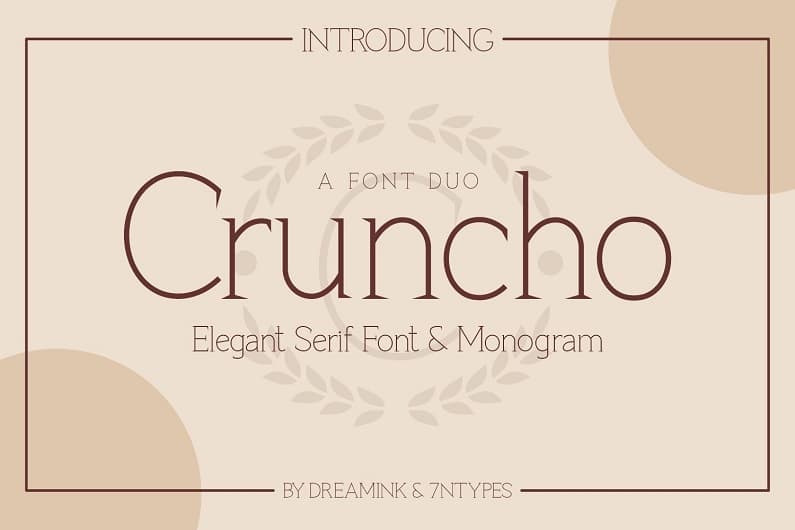 Cruncho Elegant时尚优雅气质衬线字母女性杂志封面设计英文字体下载