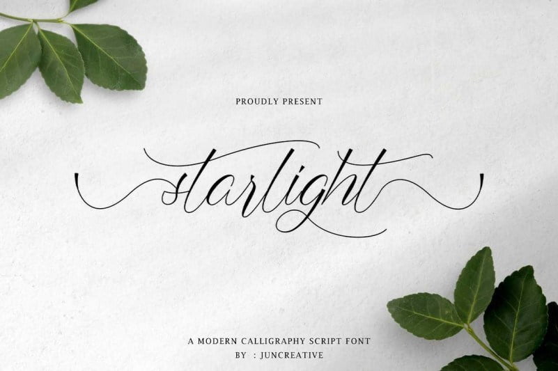 Starlight动态美感柔和细线花体手写连笔艺术设计英文字体下载