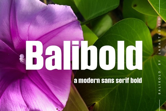 Balibold超粗标题字母英文字体下载无衬线