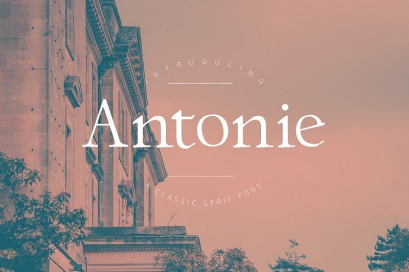 Antonie 优雅文艺的衬线体英文字体下载