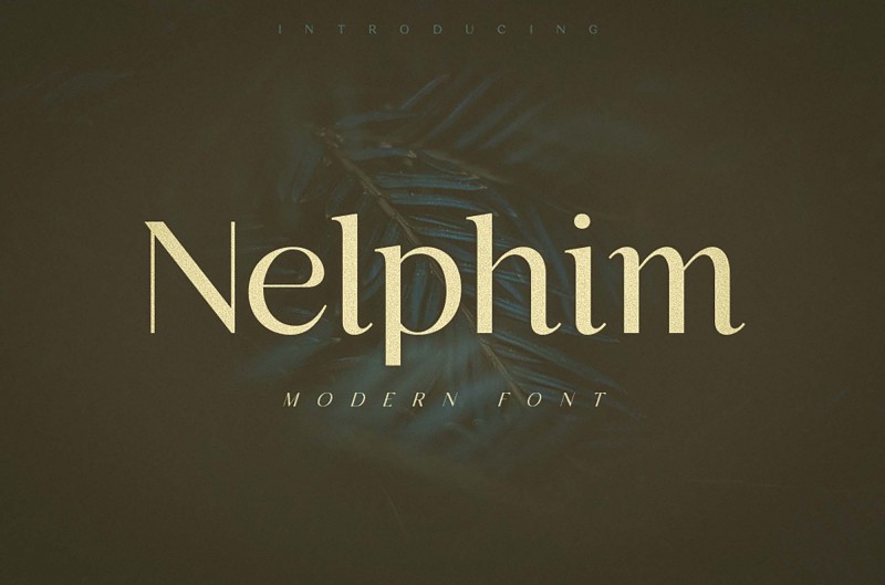 Nelphim现代高级感英文字体下载_一边粗一边细英文字母风格