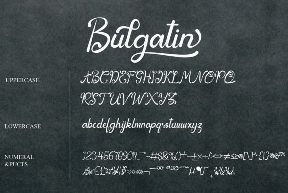Bulgatin文艺易读美观的设计手写花式英文字体免费下载