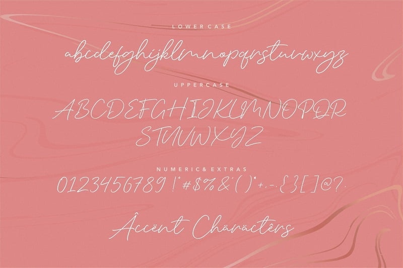 Silent Caroline高档奢侈品包装设计字母纤细手写英文签名字体