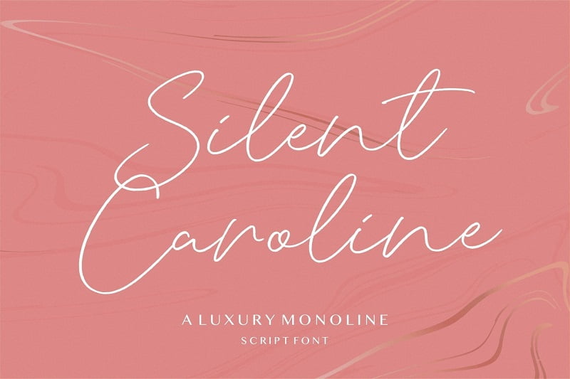 Silent Caroline高档奢侈品包装设计字母纤细手写英文签名字体