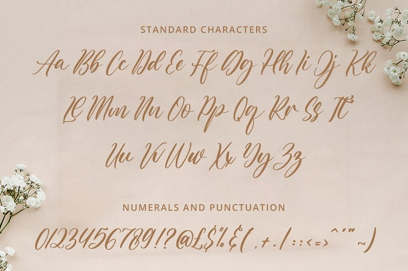 精致流畅的书法手写花式英文字体 Aulietta下载 美丽花式字母