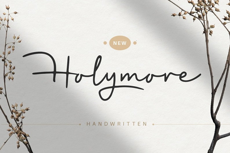 Holymore–飘逸画笔书法手写-包装设计名片logo创意-英文手写字体下载