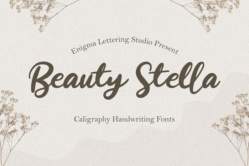 Beauty Stella–精致可爱手写英文字体下载-圆体书法圆润花式线条字母设计
